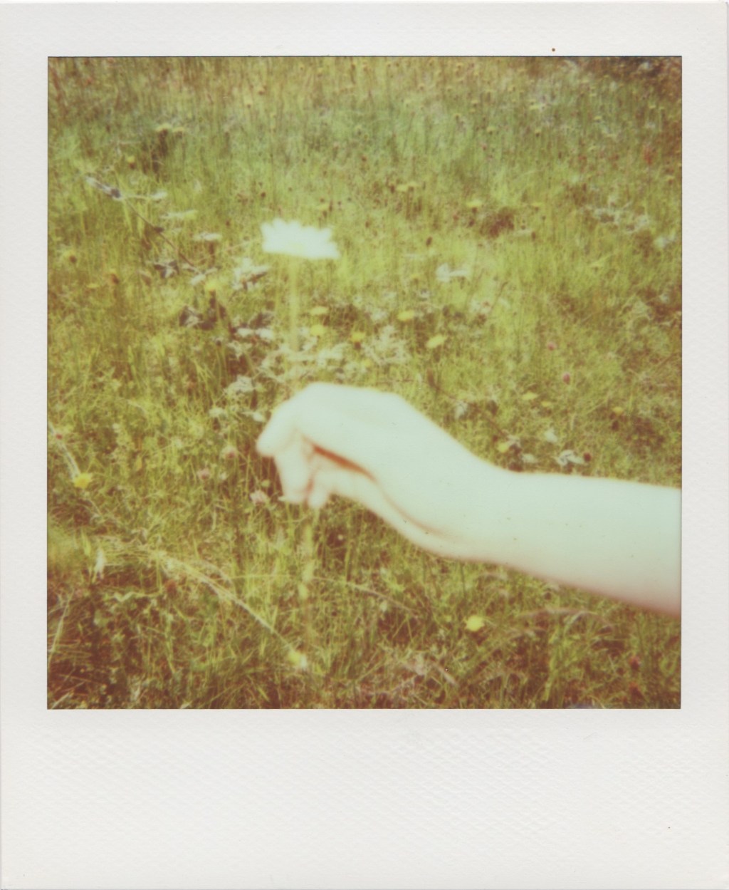 Instantanément vôtre, Polaroid600, 2013 –&nbsp;2016